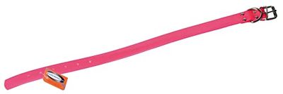 JANUEL - Collier Chien Sangle Biothane Biogold - Longueur 55cm x Largeur 25mm - Rose