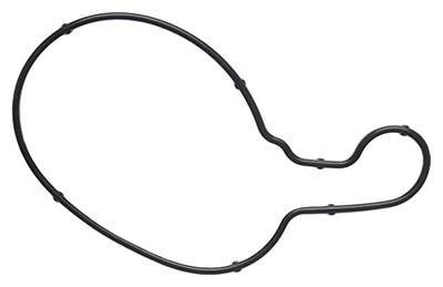 MISSLÅLIG GASKET