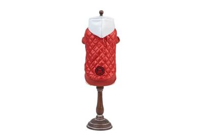 FREEDOG Jas Fizz, rood, 35 cm