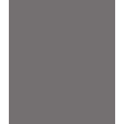 ARK A4 240gsm Colored Card Stock Pack of 10 Sheets (Dark Grey)