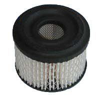 Greenstar 5343 Filtre à air pour Briggs/Stratton