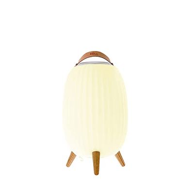 EZIlight 3760190144836 Lanterna Nomade Musicale Ambiente, Bianco