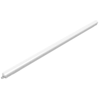 PHILIPS Lampada impermeabile ProjectLine 8720169500273 N/A Potenza: 53 W Bianco neutro N/A