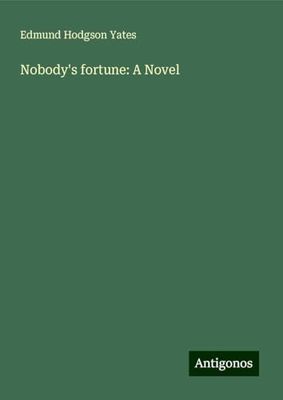 Nobody's fortune: A Novel