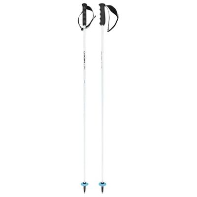 HEAD Worldcup Rebels Carbon Bâtons de Ski Unisexe, Blanc/Noir/Bleu Rapide, 140 cm