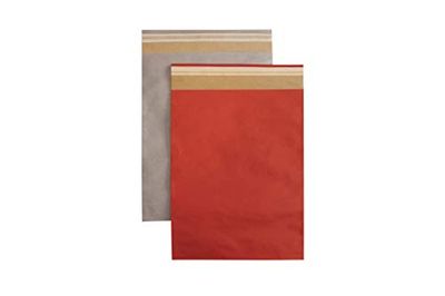 Carte Dozio - Sacchetto regalo in Kraft colori assortiti (Argento e Rosso), con patella adesiva, f.to cm 30+10x41+6, cf 10 pz