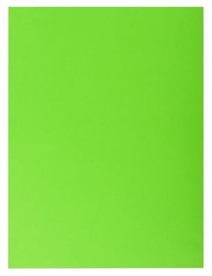 Exacompta - Ref. 415003E ROCK''S - Cartón de 250 camisas de doble bolsillo (210 g/m²), color brillante - camisas certificadas PEFC™ - 24 x 32 cm para documentos A4 - verde
