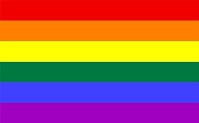 SHATCHI 5ft x 3ft Gay Lesbian Love Gender Diversity Trans/LGBTQ/Pansexual/Non-Binary/Genderfluid Celebration Supporter Fans Parade Wedding Gifts Decorations, Rainbow