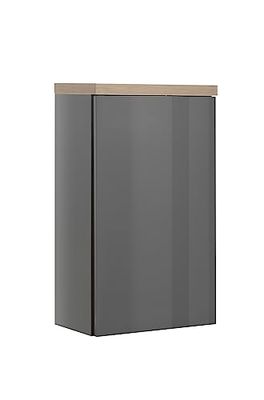 Composad | Szafka ścienna łazienka z linii MUNDI, z 1 drzwiami, szafką, elegancką i nowoczesną, wymiary (SxWxG): 39.6x66.8x22 cm, szary tytanowy lakier i dąb miodowy, wyprodukowano we Włoszech