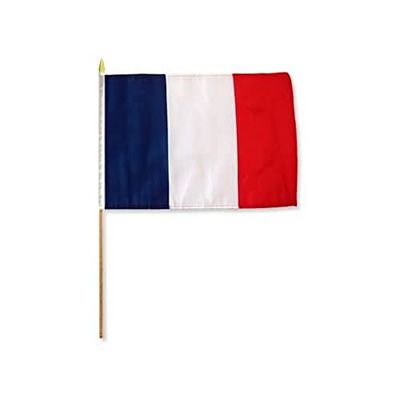 PACCO 10 BANDIERE FRANCIA 45x30cm con asta di legno - BANDIERA FRANCESE 30 x 45 cm - AZ FLAG