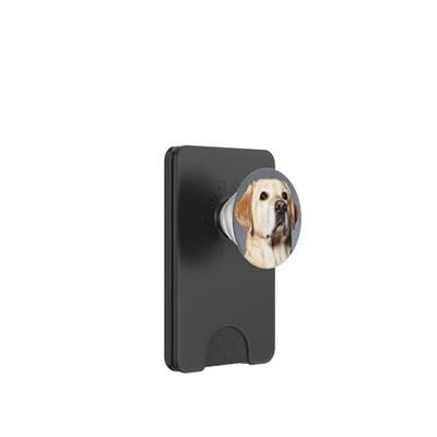 Blonde Labrador Retriever Dog PopSockets PopWallet para MagSafe
