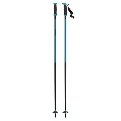 ATOMIC Unisex Adult Redster X Alpine Poles, Teal Blue, 120