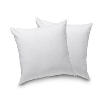 Blanrêve - Set van 2 comfortabele kussens - Synthetische vezels - Wit - 60 x 60 cm, Polyester