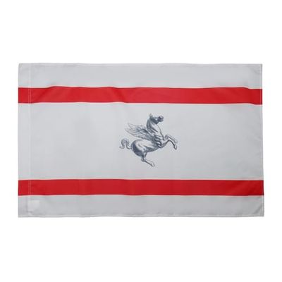 AZ FLAG Bandiera Toscana 90x60cm - Bandiera REGIONE Toscana - REGIONE Italia 60 x 90 cm Foro per Asta