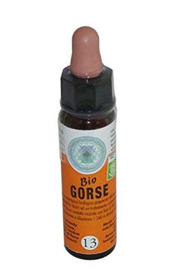 Gorse Nr. 13 Bach Flowers BIO Krople Chromoterapeutyczne 10ml