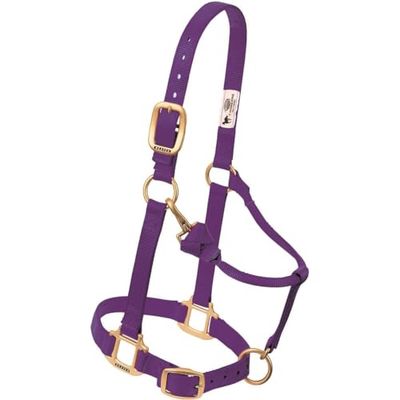 Weaver Leather Original Licol en Nylon réglable, Violet, Average Horse
