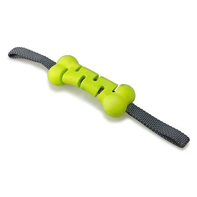 ARQUIVET Groene botten en strepen - speelgoed voor alle honden van alle leeftijden - hondenaccessoires om te kauwen - plastic speelgoed om te kauwen - spelen en entertainment