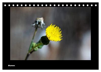 Blumen (Tischkalender 2024 DIN A5 quer), CALVENDO Monatskalender: Ein Geschenk der Natur