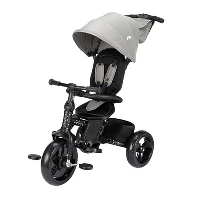 Bebeconfort Windy, driewieler met duwstang, 10 maanden- 4 jaar, 0-25 kg, groeit mee met je kind, comfortabele en omkeerbare zitting, compact opvouwbaar, driewieler voor baby en peuter, Tinted Grey