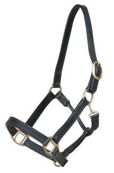 PFIFF Cavi in Pelle per Pony, Colore: Nero