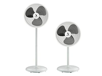 Beper P206VEN152 Staande Ventilator en Tafelventilator, 2 hoogtes in 1 - Ventilator met laag vermogen