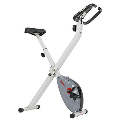 Sunny Health & Fitness SF-B2989 - Bicicleta estática plegable