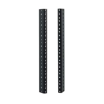 Gator Rackworks - Set di guide rack