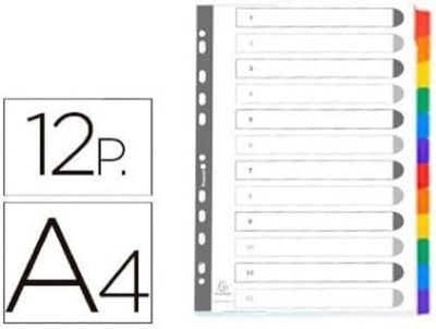 EXACOMPTA st. 1 x A4 kartongdelare med 12 tangenter 2312E