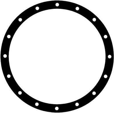 MISSLÅLIG GASKET