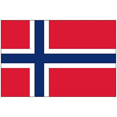 SHATCHI Ballon Drapeau de supporters de football norvégien de qualité supérieure avec œillets 150 cm x 90 cm, National Flag, Norvège