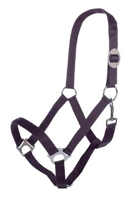 HKM Stars Economy Licol Violet foncé Pony