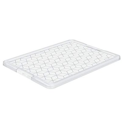 Rotho Evo Enkel förvaringslåda 50 140 liters lock, plast (PP) BPA-fri, en storlek