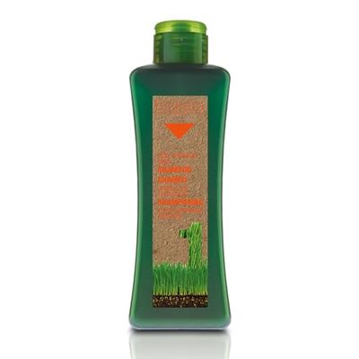 Salerm Cosmetics Biokera Natura Shampoo Treated Hair – 300 ml