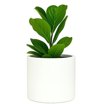 Plantenpotten van Fox & Fern - Perfect passend midden eeuw moderne plantenstandaard - Drainage Plug 20cm dia Mat wit