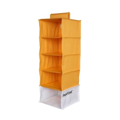 PANTONE™ Organiseur de rangement à suspendre 5 compartiments vêtements et accessoires, organisateur de placard vertical pliable, séparateurs pour armoire intérieure de rangement et vêtements 84 x 30 x