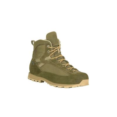 AKU Pilgrim Tsc GTX Bottes de randonnée Mixte, Vert, 37