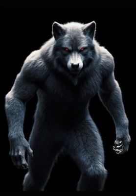 Werewolf Sketch Book