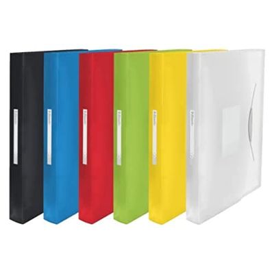 Esselte 624021 - Carpeta acordeón VIVIDA Con 6 separadores Colores surtidos (Pack 6 UD)