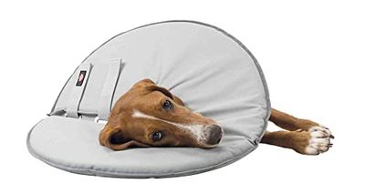 Trixie - Collare Protettivo Medio, 38-42 cm, Colore: Grigio