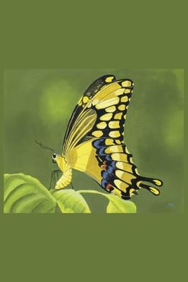 Your Ideas Take Wing: A Blank Journal Inspired by the Original Art of a Swallowtail Butterfly