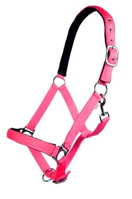 HKM Licol – Stars Softie, Doublure Douce, Rose Fluo, Pur-Sang