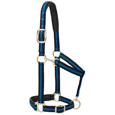 Weaver Leather Licol rembourré réglable en Nylon pour Cheval Bleu 2,5 cm