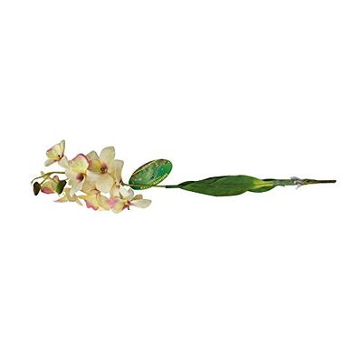 Lucky Reptile IF-06 Steck-Orchidee Circa 40 cm, L, Weiß