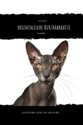 Orientalische Kurzhaarkatze: alles über Auswahl, Haltung, Pflege und vieles mehr...