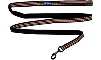 Battersea - Guinzaglio Riflettente per Cani, 200 cm, Colore: Arancione