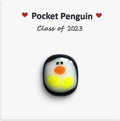 A Little Pocket Penguin Hug,Mini Animal Pocket Hug Penguin,Special Penguin Pocket Ornament,Pocket Gifts for Men Women