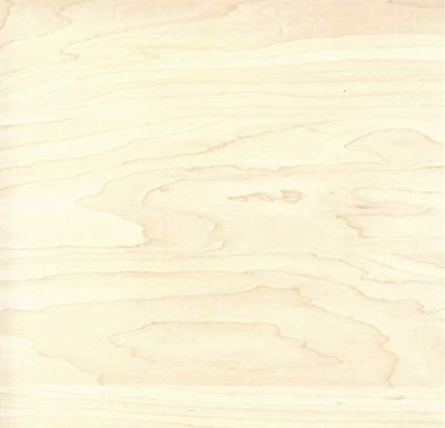 Venilia Plakfolie, esdoorn houtlook, wit, 45 cm x 3 m, dikte 95 μ, zelfklevende meubelfolie, decoratiefolie, behang, keukenfolie, pvc zonder ftalaten, made in EU