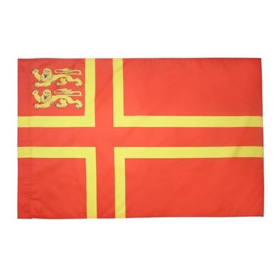 Normandische Sint Olaf Kruis 2 leeuwen Vlag 90x60 cm voor een paal - Normandische Provincie Frankrijk vlaggen 60 x 90 cm - Banier 2x3 ft met gat - AZ FLAG