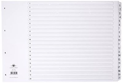Concord Classic Index Mylar-reinforced Punched 4 Holes 1-20 A3 White Ref 04801/CS48