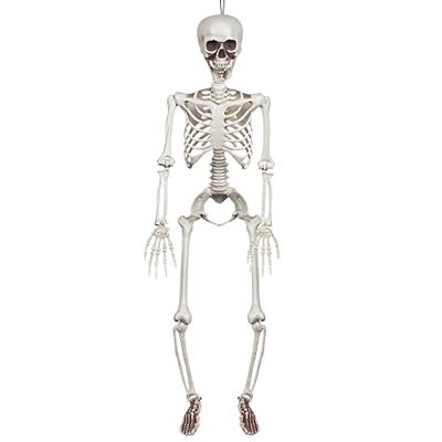 Boland 73042 - hangend skelet, grootte 90 cm, beweegbare armen en benen, decoratie, hangende decoratie, hangers, Halloween, carnaval, themafeest